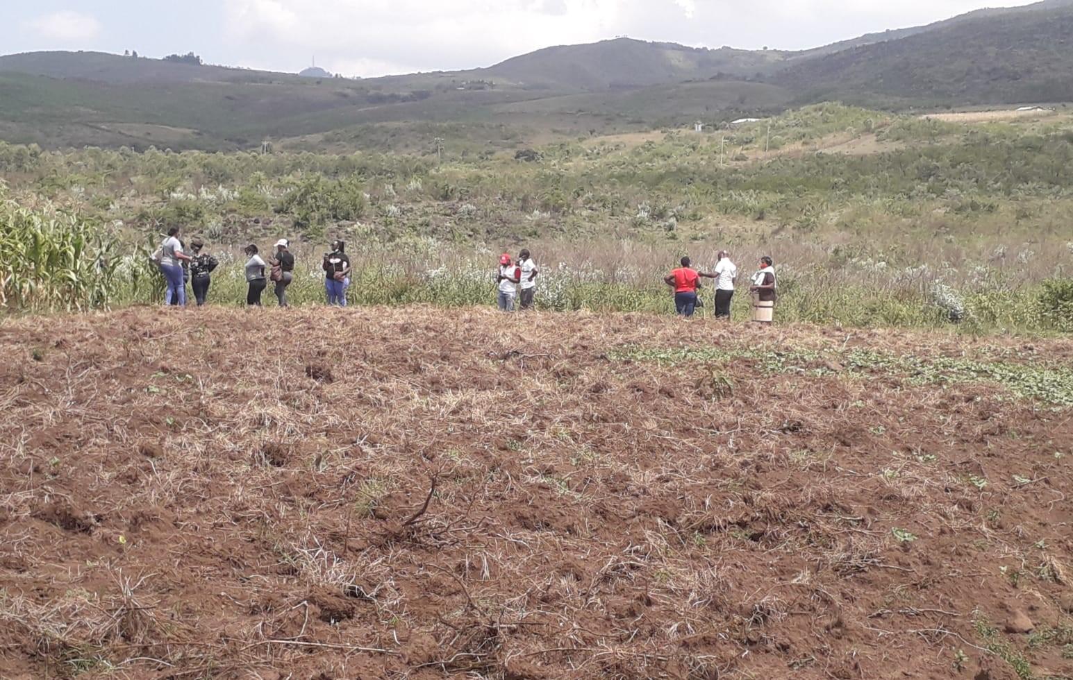 Additional property image